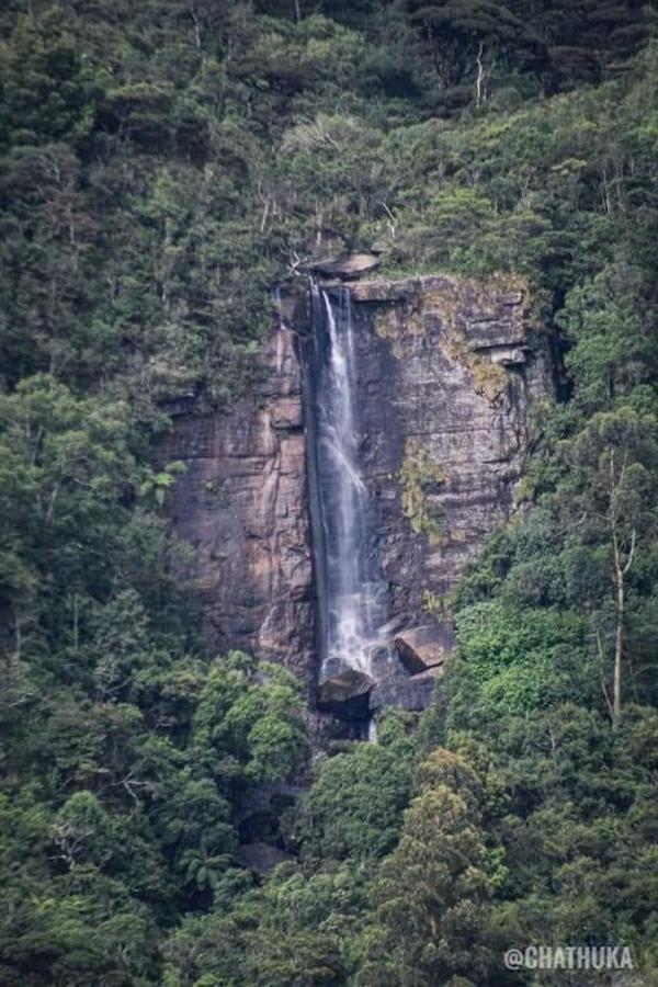 The Paulwood Home Cabin Nuwara Eliya Dış mekan fotoğraf